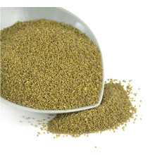 GREEN MILLET IN HUSK FOR BIRD FEEDS